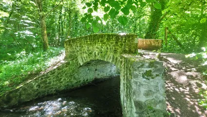 Image de Rêves d'Eau